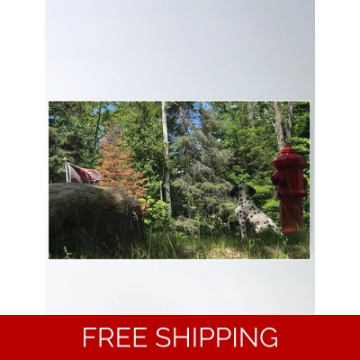 Le Studio Poster Rush Signals Statue Back